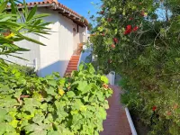 Villa Rosa dei Venti Hotels in La Ciaccia