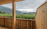 Hotel Jonathan - Mountain view