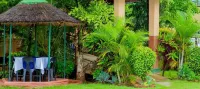 Bluegum Avenue Lodge - parkir