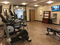 Staybridge Suites DETROIT - NOVI by IHG - Træningscentre