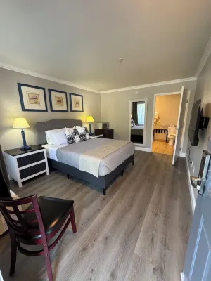 Dune Surfer Inn