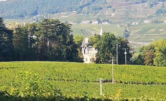 Le Temps D Une Pause à Boursault