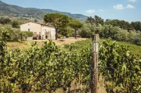 Fattoria Camigliano, Luxury Farmhouse with Pool Inside a Wine Estate Hotels in der Nähe von Pieve of Saint Lorenzo in Segromigno in Monte
