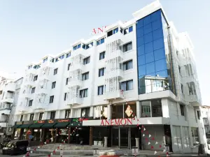 Anemon Usak Otel