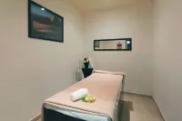 Crowne Plaza TOLUCA-LANCASTER by IHG - spa