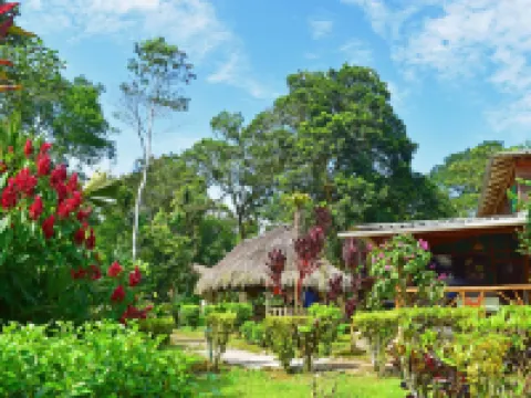 Suchipakari Jungle Lodge Hotels in Tena