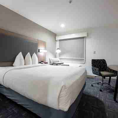Best Western Lafayette Inn Rooms