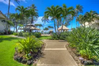 Islander on the Beach #322