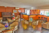 Carvoeiro Garden Hotel - Bares