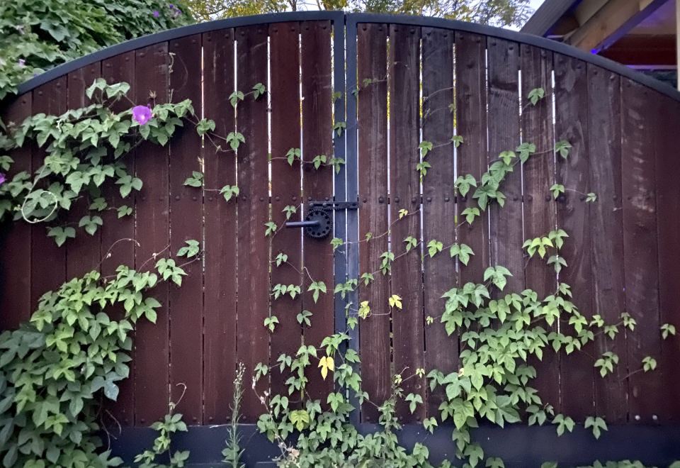 1. 마이 빅 아트 ..