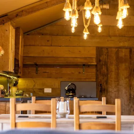 Luxury Safari Lodge-Sleeps 4 6-Deer Park-Dogs Ok