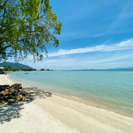 Absolute Beachfront Resort