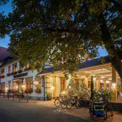 Ringhotel Winzerhof Hotel Exterior