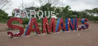 Ncg Suite Samanes 1 - Apartments