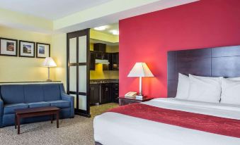 Comfort Suites Rock Hill Manchester Meadows Area