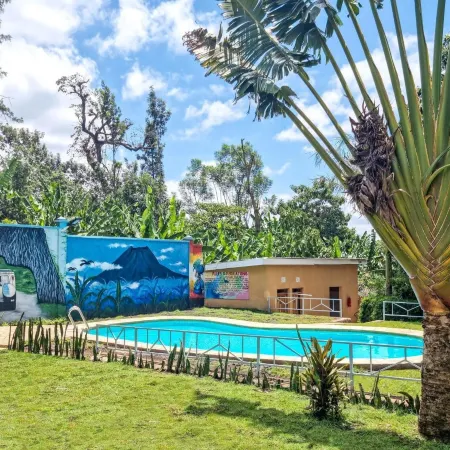 Africa Safari Arusha