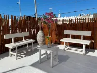 Mayab Holbox