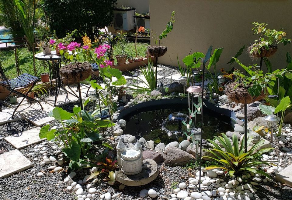 Hotel Millsborough B&B, Exterior, Garden