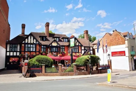 The White Hart Hotel Отели рядом с достопримечательностью «Парк Буши»