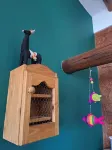 La Llama Negra - Apartments