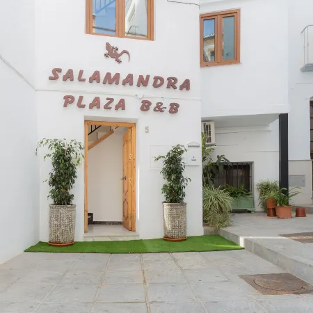 Salamandra Plaza