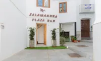 Salamandra Plaza Hotels in Arenas