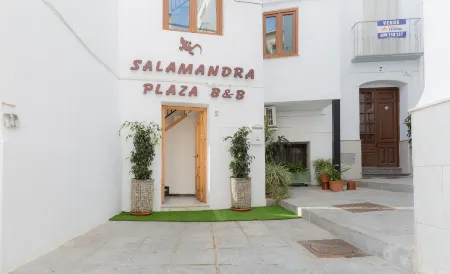 Salamandra Plaza Отели в г. Компета