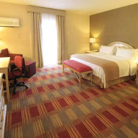 Holiday Inn MONCLOVA by IHG
