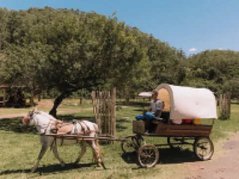 リゾート ファゼンダ 3 ピニェイロス レゼンデのホテル