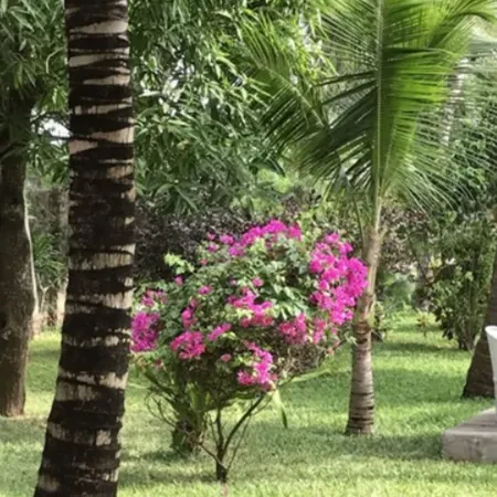 The Villa Luxury Suites Hotel
