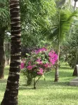 The Villa Luxury Suites Hotel Hotels in 