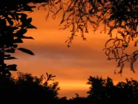 Martinborough Motel Hotels in Martinborough
