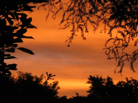 Martinborough Motel Отели в г. Мартинборо