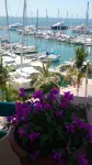 The Westmarine Waterfront Hotel - Ocean View