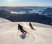 Hampshire Holiday Parks – Wanaka