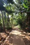 Jungle Book Resort Hotels in Sancordem VP