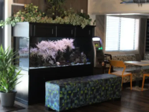 Village Inn Destin Hotels in Destin