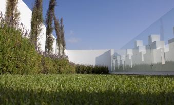 Riad Zyo