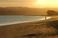 Moanarua Beach Cottage - Beach