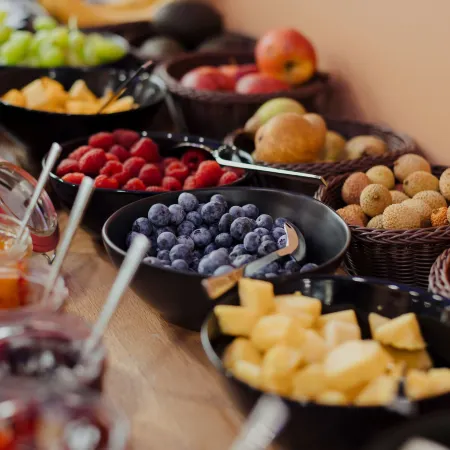 Hotel Castle Rastatt