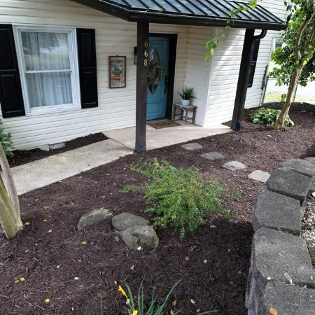 Driftwood Lake House- cozy , quiet cove!