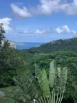 Flamboyan on the Bay Resort and Villas Hotels in Saint Thomas
