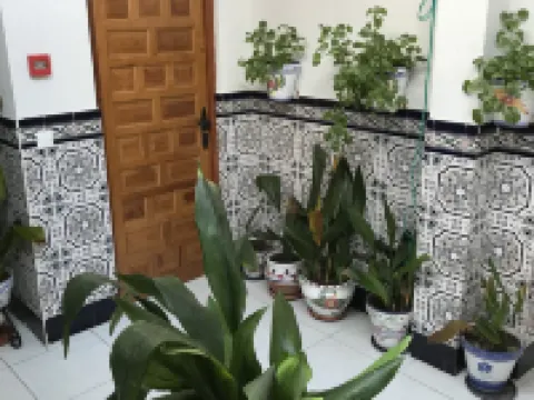 Pension Los Molinos Hotels in Campo de Calatrava