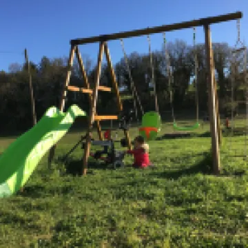 Les Ânes de Forcalquier