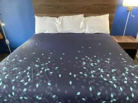 스코티시 인 커머스