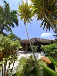 Pousada Das Flores Hotels in Fernando De Noronha