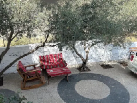 โอลีฟทรีโฮสเทล โรงแรมในเยรูซาเลม