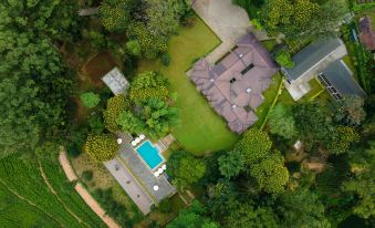 The Lavender House by Reveal