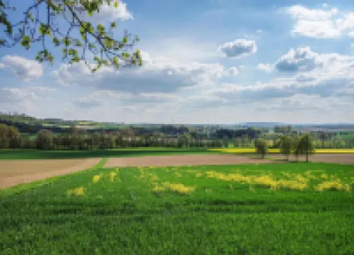 フェリエンヴォーヌング ミット サウナ イン ローテ