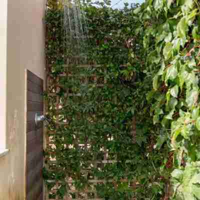 Coastal Dreamy Retreat, Dive in Dimitra's Paradise Hotel Exterior